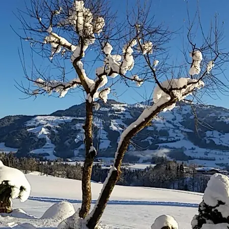 Leamhof 3* Hopfgarten im Brixental