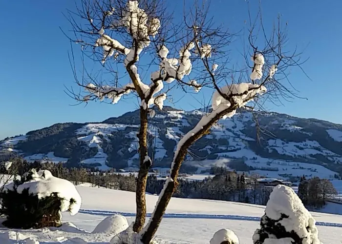 Leamhof 3* هوبفغراتن إم بريكسنتال